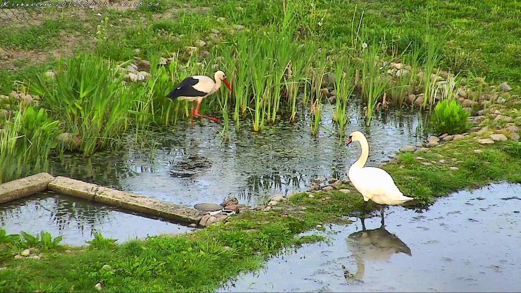 Agroturystyka Klekusiowo Boleslawiec  Ngoại thất bức ảnh