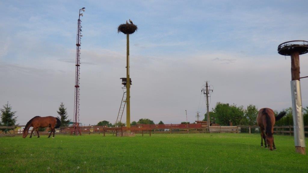 Agroturystyka Klekusiowo Boleslawiec  Ngoại thất bức ảnh